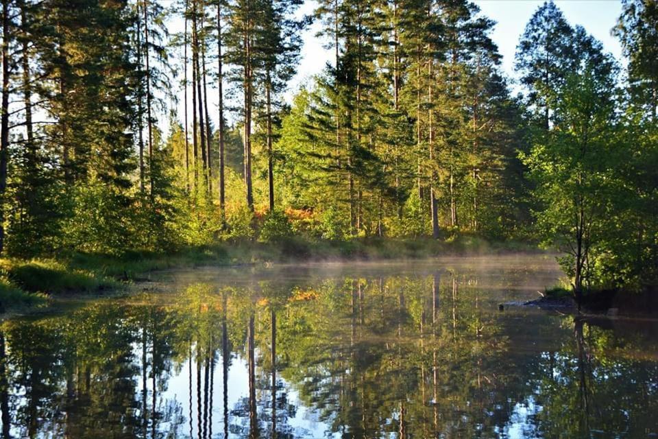 Viking House In The Tree! Jacuzzi, Sauna,Apkure! Lici  المظهر الخارجي الصورة