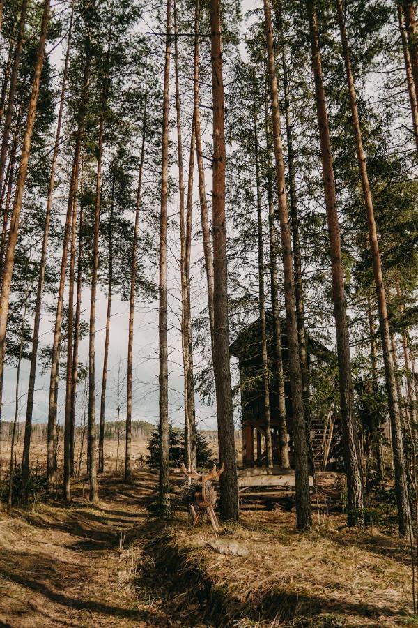 Viking House In The Tree! Jacuzzi, Sauna,Apkure! Lici  المظهر الخارجي الصورة